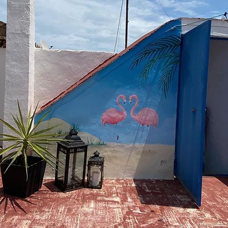 Casa De Los Dos Flamencos Мирамар Экстерьер фото